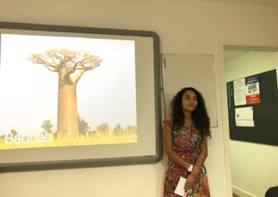 Aliança Francesa de Niterói Curso de Francês